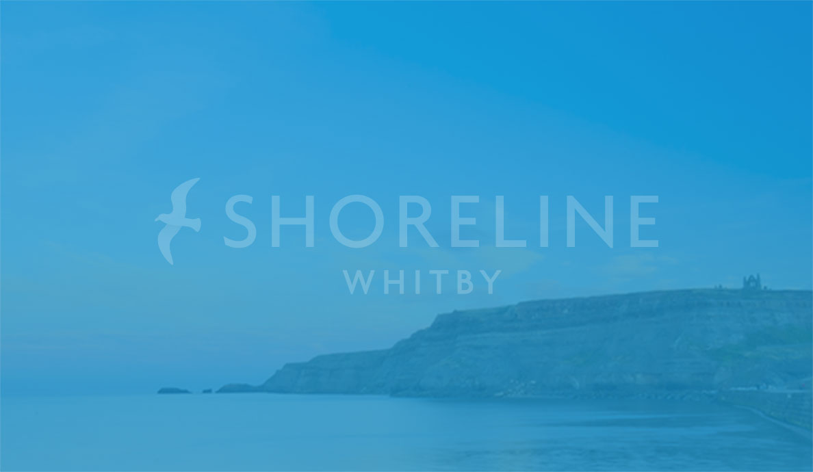 Shoreline image placeholder