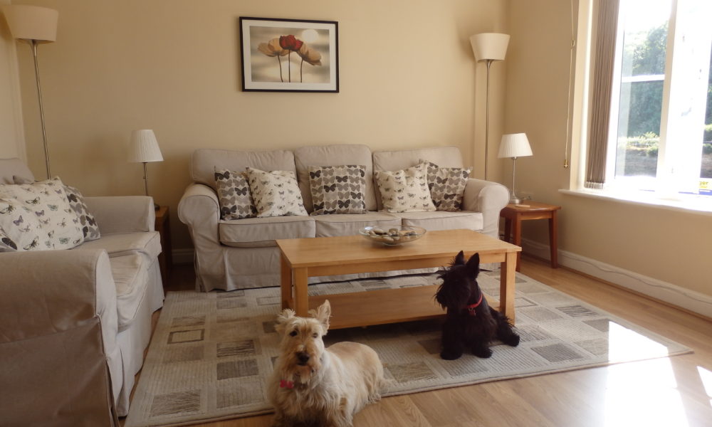 Pet friendly holiday apartment Whitby, Whitby holiday let with parking, Riverside apartment Whitby