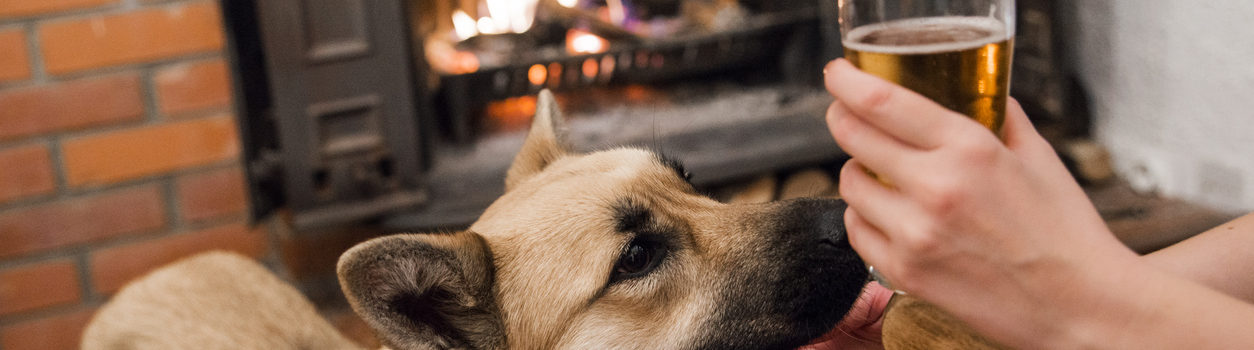 Dog friendly pubs in and around Whitby, pet friendly properties in Whitby