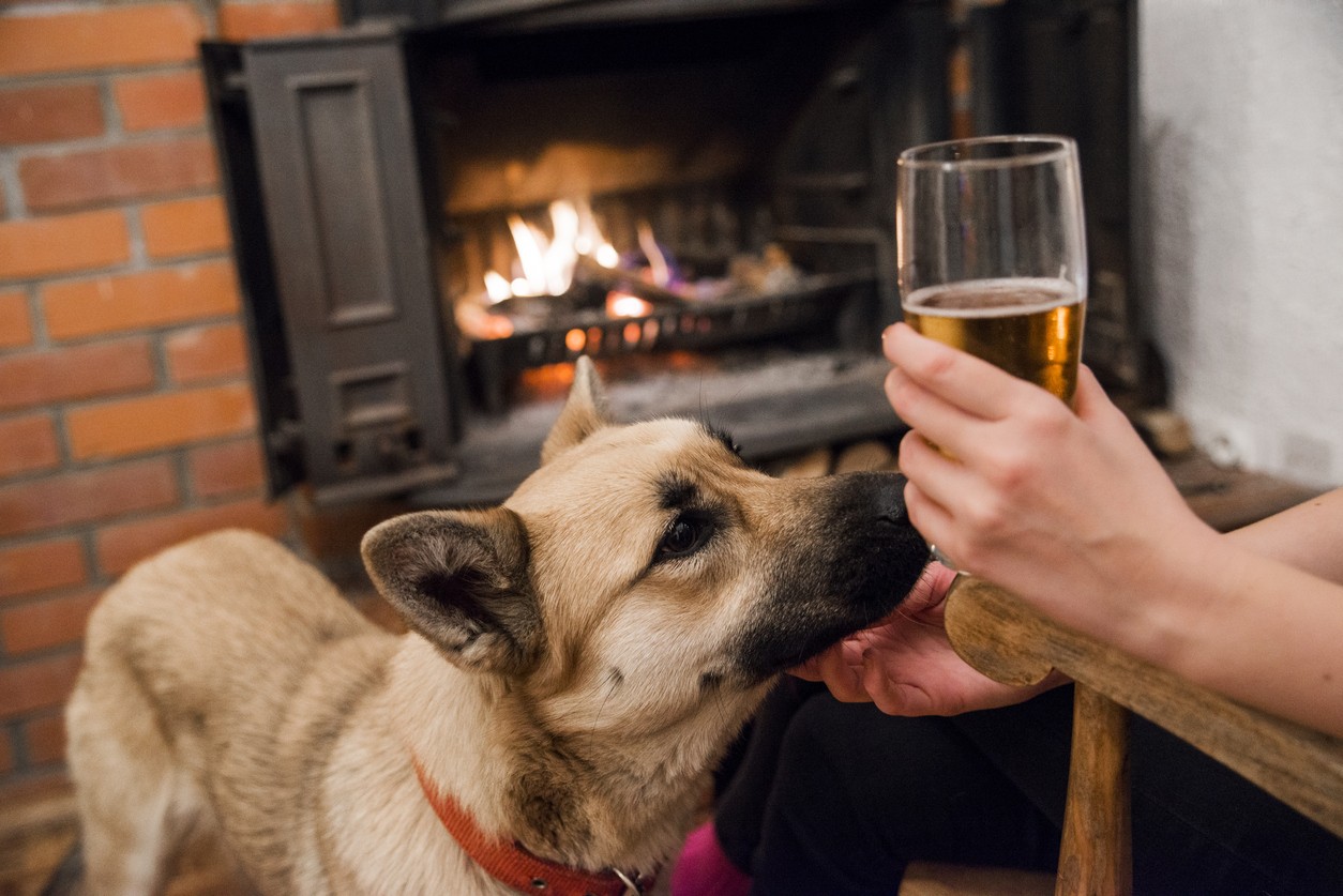Dog friendly pubs in and around Whitby, pet friendly properties in Whitby