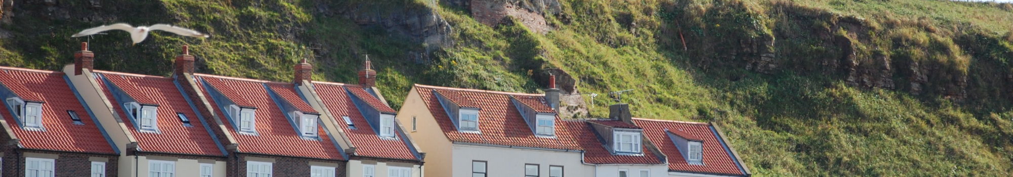 Whitby holiday cottages, cottage in Whitby, holiday rental Whitby