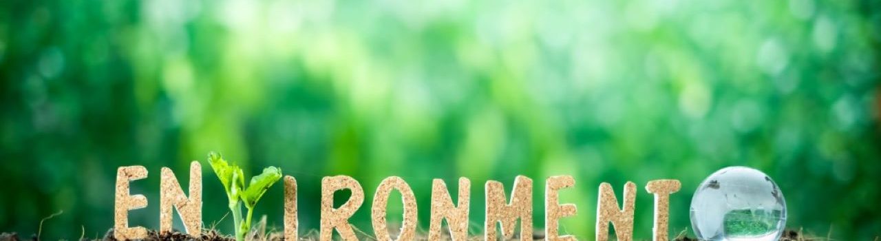 Doing our bit for the environment