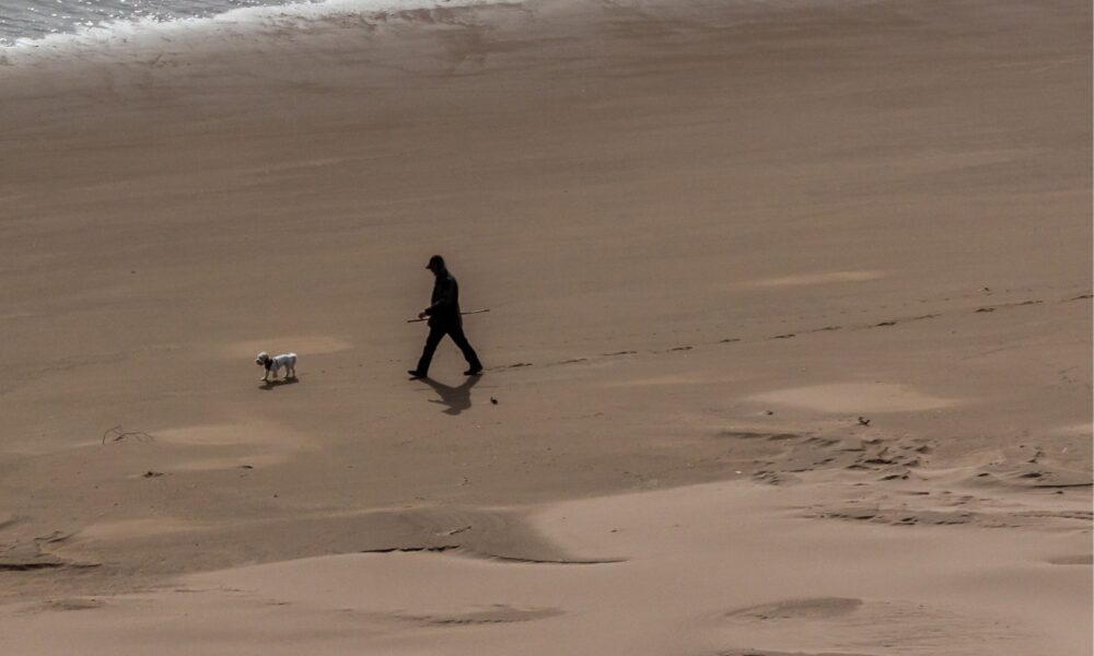 Best Dog Walks in and Around Whitby