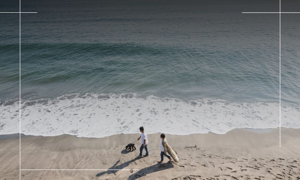 Happy dog being walked on dog-friendly beach in Whitby