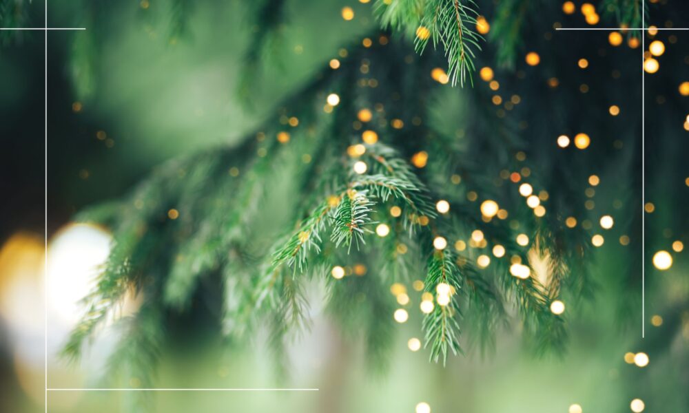 10% OFF all remaining Christmas Breaks in Whitby